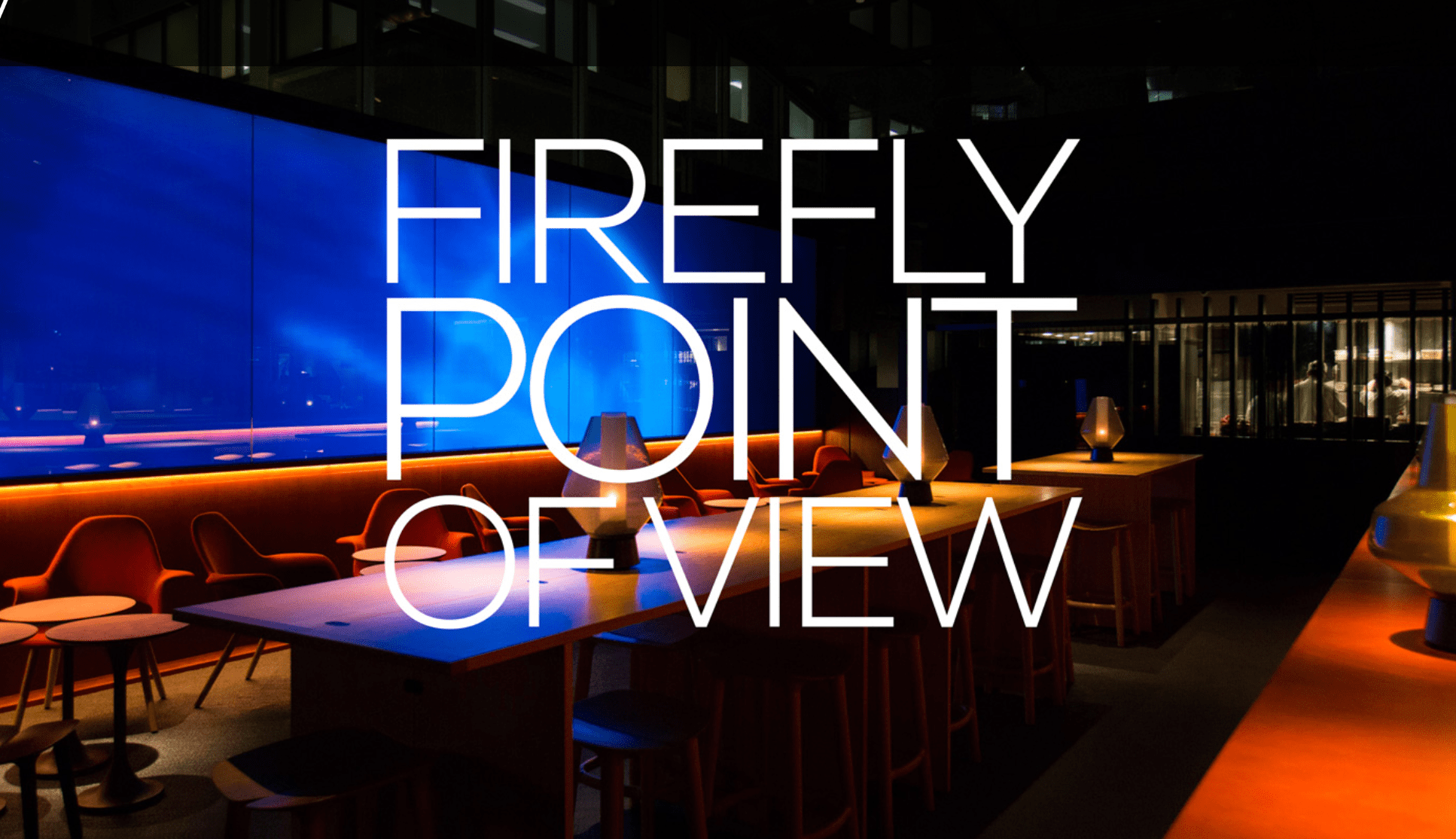 FIREFLY POINT OF VIEW